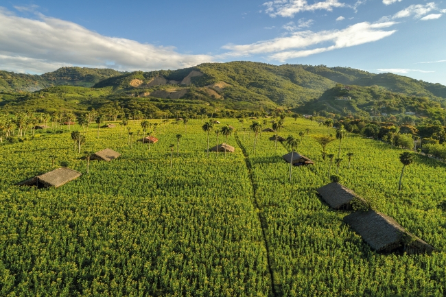 Campos de Tabaco, Jacagua, Santiago, abr18_RBFDJI_0211_15-HDR