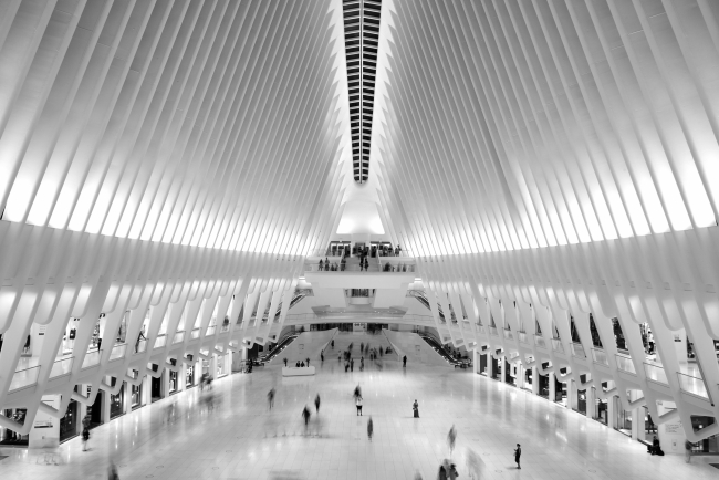 _JSH2895 Path Hub Calatraba_Copy